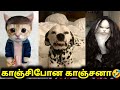 காஞ்சிபோன காஞ்சனா | Funny video | Twisty story | Twist at end