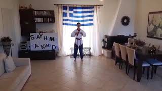Evangelos Delis Greece Cadet Colour Belt Semi Final 2