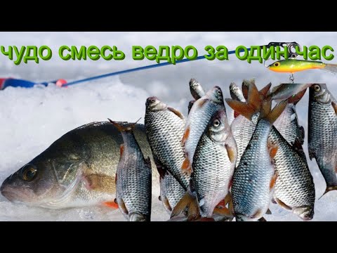 в январе вся рыба клюёт на это Налейте это в лунку для бешенного клева рыбы зимой!