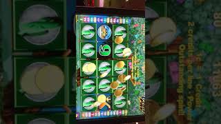 Money tree 2 slot machine bonus Mystic Lake Casino screenshot 3