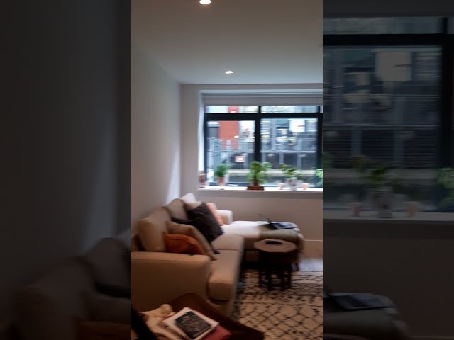 Video 1: Shared living room