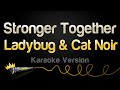 Ladybug Cat Noir Stronger Together Karaoke Version Ladybug Cat Noir Stronger Together Karaoke Version