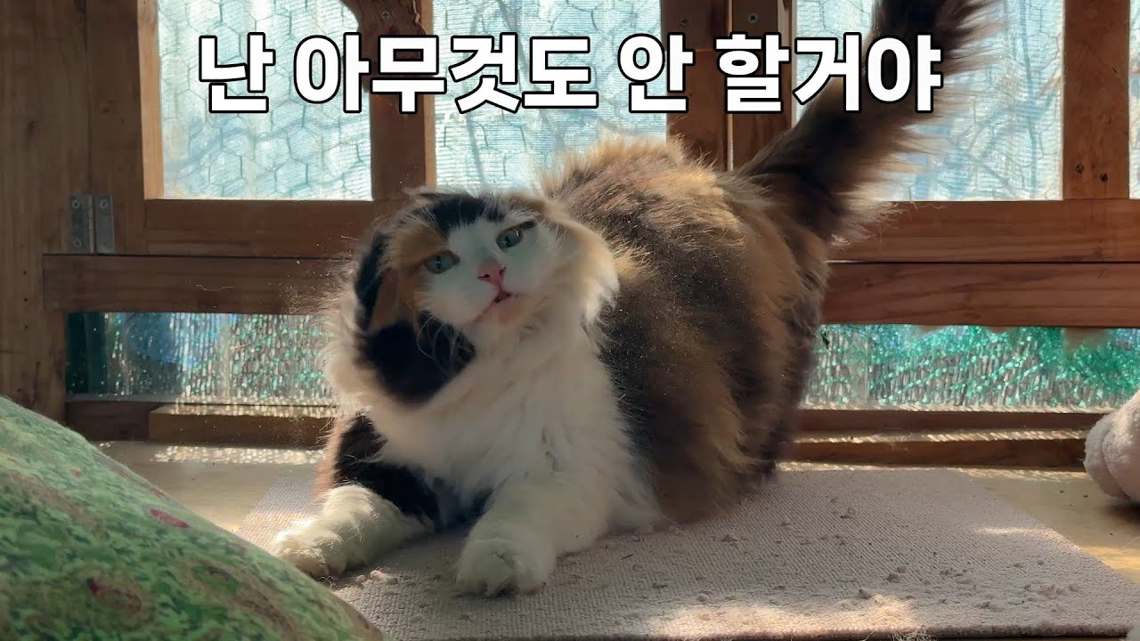 산골에 왔으면 열심히 뛰어야지