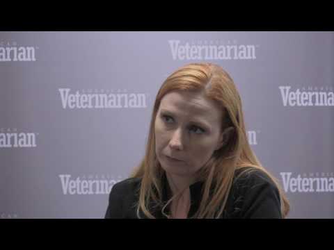 Video: Nav ārstēšanas: visgrūtākais lēmums par veterināro onkologu