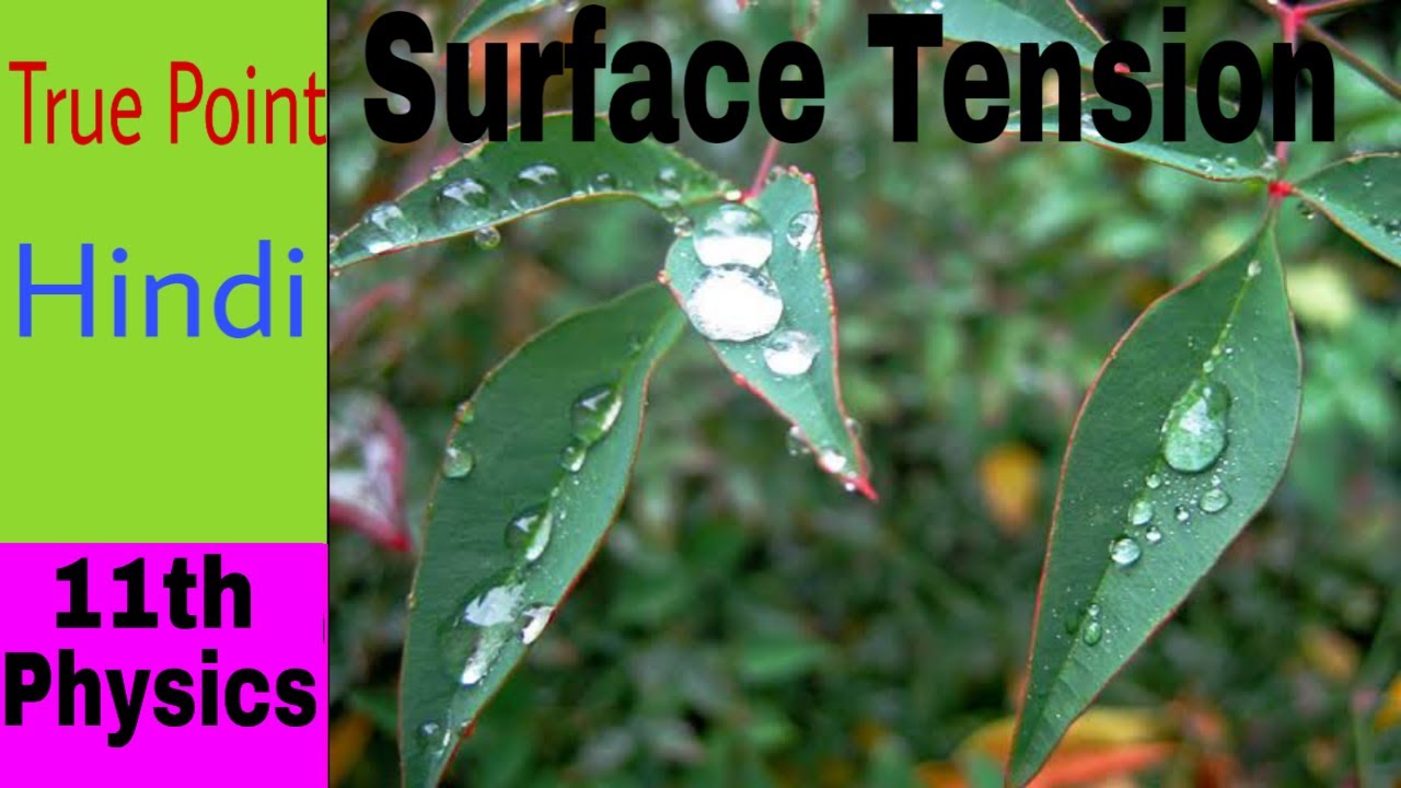 🔴 Surface Tension in Hindi YouTube