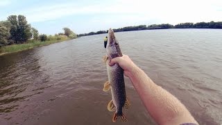 Ловля щуки на воблеры. Ловля щуки в траве. Ловля щуки у берега реки.