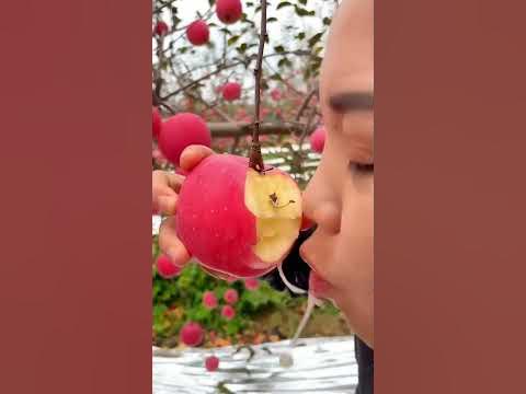 😲 А ви це знали? #цецікаво - YouTube