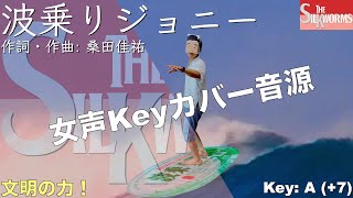 桑田佳祐 波乗りジョニー Johnny the Surfer Tシャツ サザン