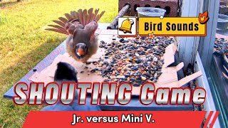 Furchtloser Showdown: Mini V gegen Blue Jay Jr. in einem schreienden Spiel screenshot 1
