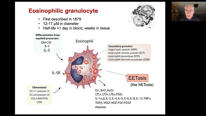 11/01/22 Eosinophils as Mediators of Rheumatologic...