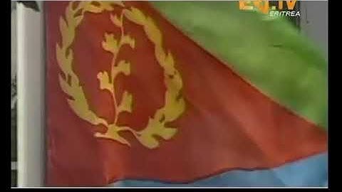 The history and meaning of the Eritrean Flag
