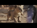 MPC Film - The Naturalistic effects of The Lion King