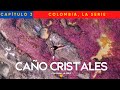 ¡El RÍO más HERMOSO del MUNDO es ROSA! COLOMBIA 🇨🇴 4K I CAPÍTULO 3