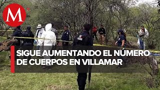 Tras 13 jornadas de búsqueda se han localizado 26 cuerpos en Villamar, Michoacán