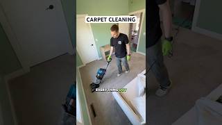Clean Your Carpets Now