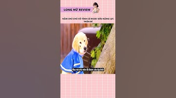 Năm chú chó vô tình có được siêu năng lực thần bí || #shortphim #shorts #reviewphim #shortcut