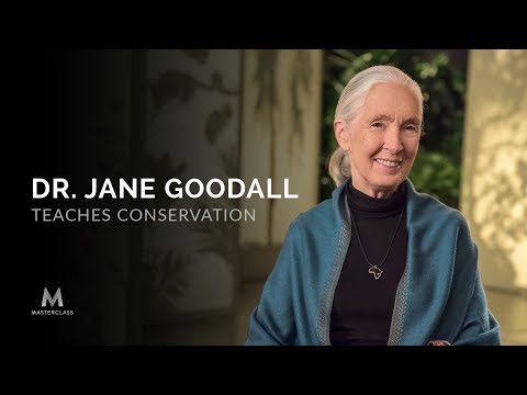 Dr. Jane Goodall Teaches Conservation | Official Trailer | MasterClass - Dr. Jane Goodall Teaches Conservation | Official Trailer | MasterClass