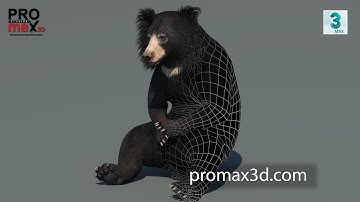 Animated Sloth Bear 3D Model: Download - 3Ds Max | ​PROmax3D