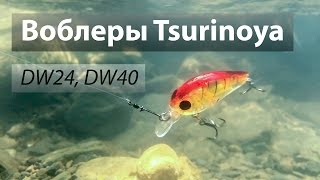 Воблеры Tsurinoya (Trulinoya) DW24 и DW40 из Китая. Bear King.