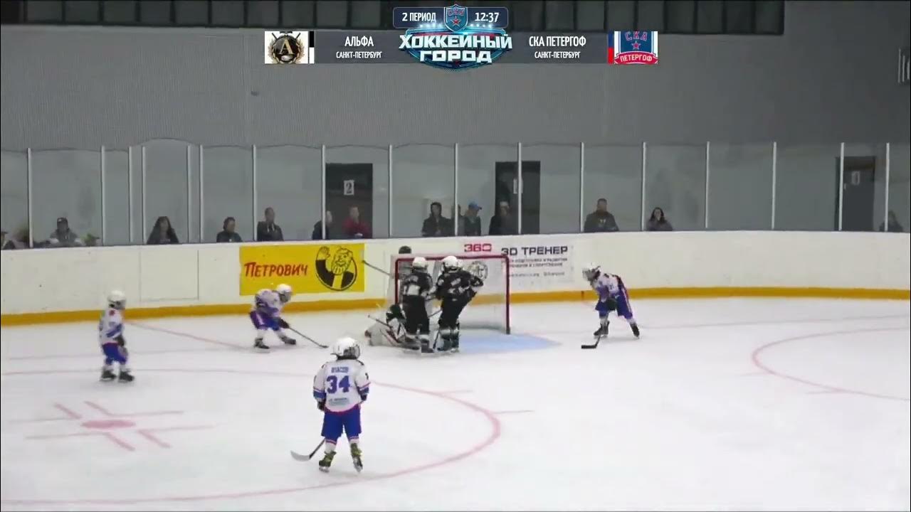 Ска стрельна 2010. Ска хкд 2012. Арена ска санкт-петербург стрельна. Вратарь хк ска. Хк хорс про макftay 12 11 22 передачи и голы.