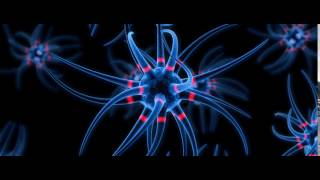 Cinema 4D - Brain Cells Animation