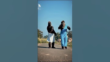 Thumbnail of Bandar #bhojpuri #song #Dans