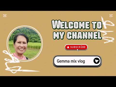 Travel vlog going to city.