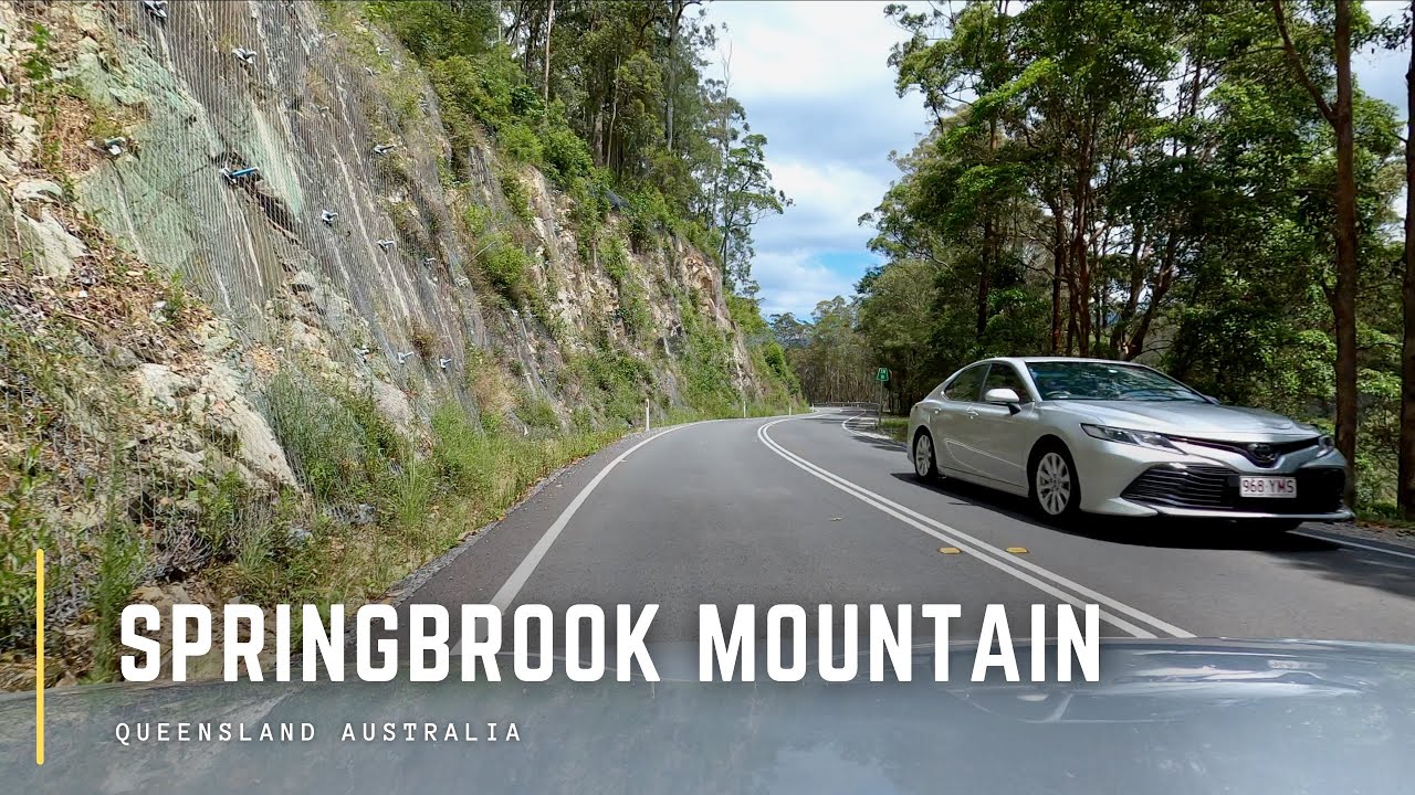 Driving Springbrook Mountain Up and Down - Queensland | Australia