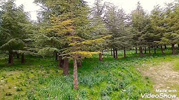 سورة الصافات ليلة 23 للقارء عبدالسلام بلعز