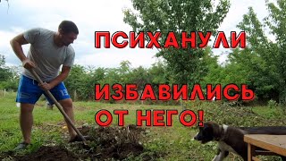 ИЗ ГОРОДА В ДЕРЕВНЮ | ДАВНО НУЖНО БЫЛО ЭТО СДЕЛАТЬ #изгородавдеревню #хутор #семьянахуторе