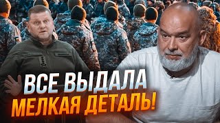 🔥ШЕЙТЕЛЬМАН: кто сливает Арестовичу данные, главная проблема мобилизации  - Залужный все обьяснил