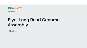 Flye: Long Read Genome Assembly Tool