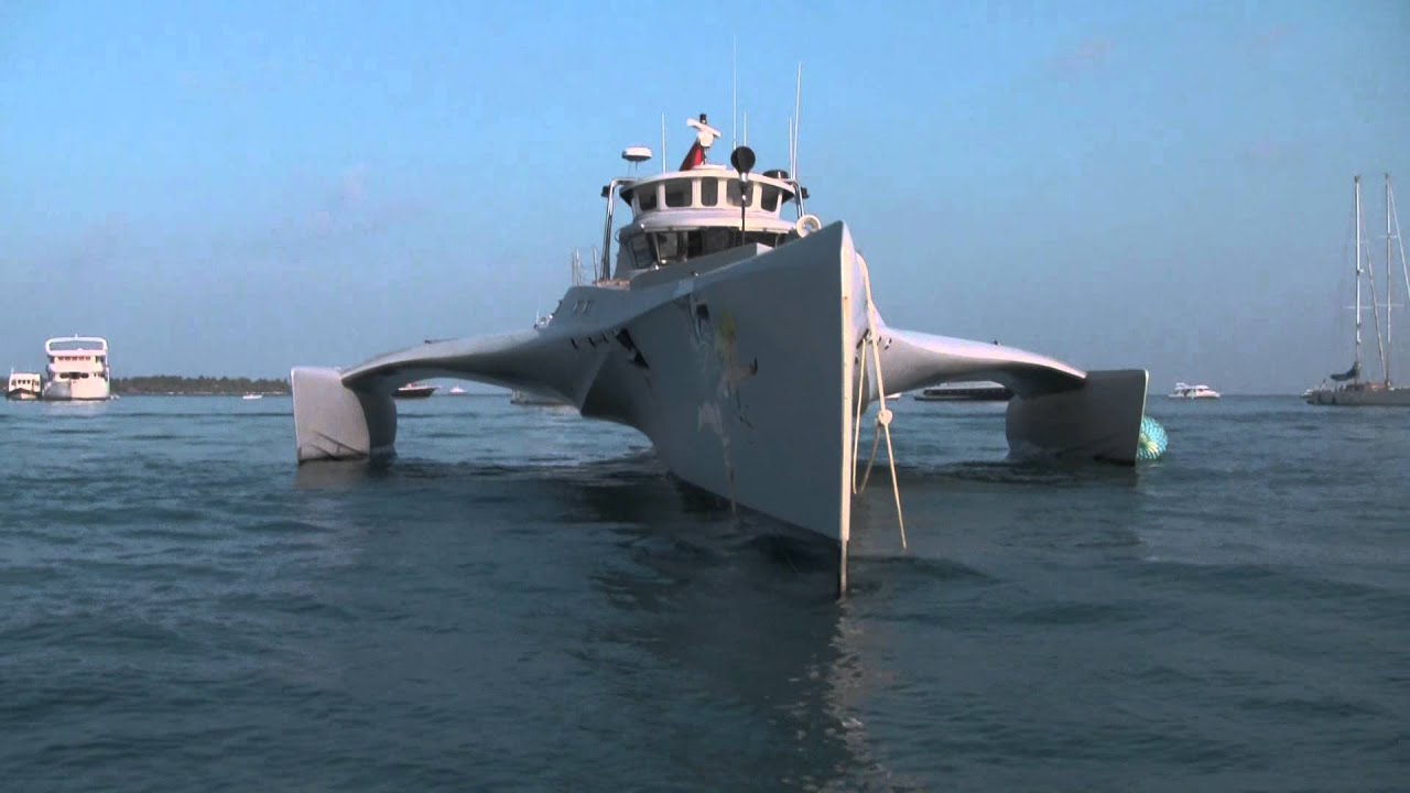 Whale Wars: Watson's Last Stand Season 1 - Trakt whale wars watsons last stand s01e01 torrent download