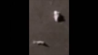 Moon Objects