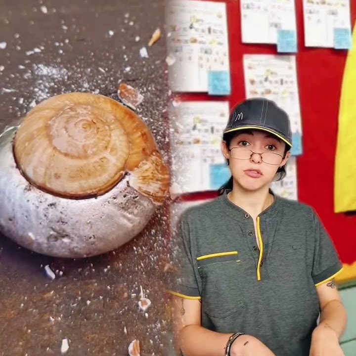 #capcut #fyp #humor #funny