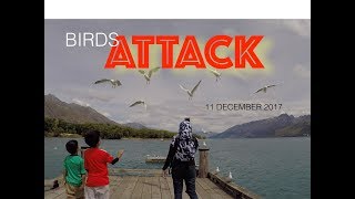 DIPATUK BURUNG & DISUDU ITIK