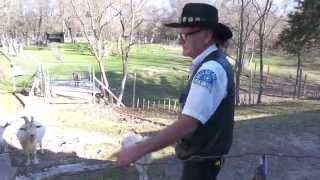 Community activist puts the pleasant back in the Grove