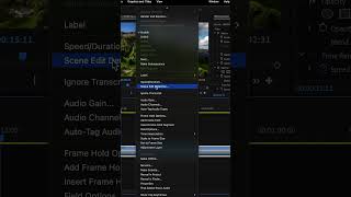 Scene Detection Cuts in Premiere #premierepro