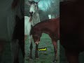 مغامرة ممتعة مع الخيول اكتشف أسرار الحصان للأطفال مغامرة ممتعة مع الخيول اكتشف أسرار الحصان للأطفال