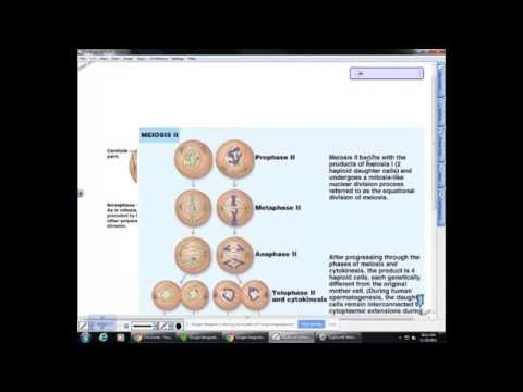 BI 233: Genetics