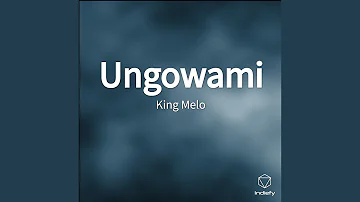 Ungowami