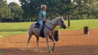 Elvis flat work