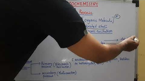 Basic Theory of Photochemical Processes