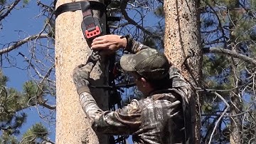 Survive Hunting Season With These Treestand Safety Tips