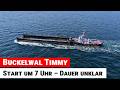 Buckelwal Timmy: Rettungseinsatz startet Dienstag um 7 Uhr – Dauer unklar
