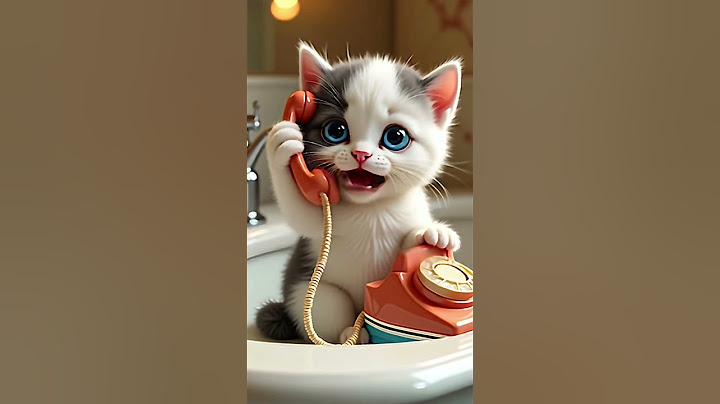 Adorable cat #short @CatChattter
