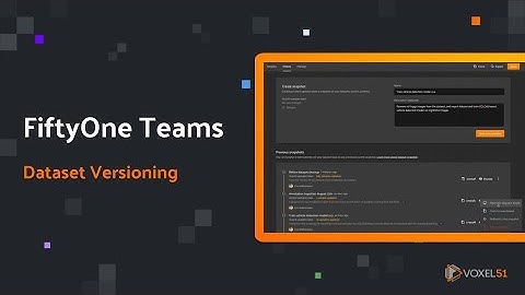 FiftyOne Teams: Dataset Versioning