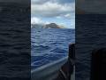 Vacation in Hawaii #vacation, #waikiki
