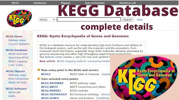 KEGG: Kyoto Encyclopedia of Genes and Genomes database