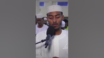 سورة الضحى الشيخ عفيف محمد تاج